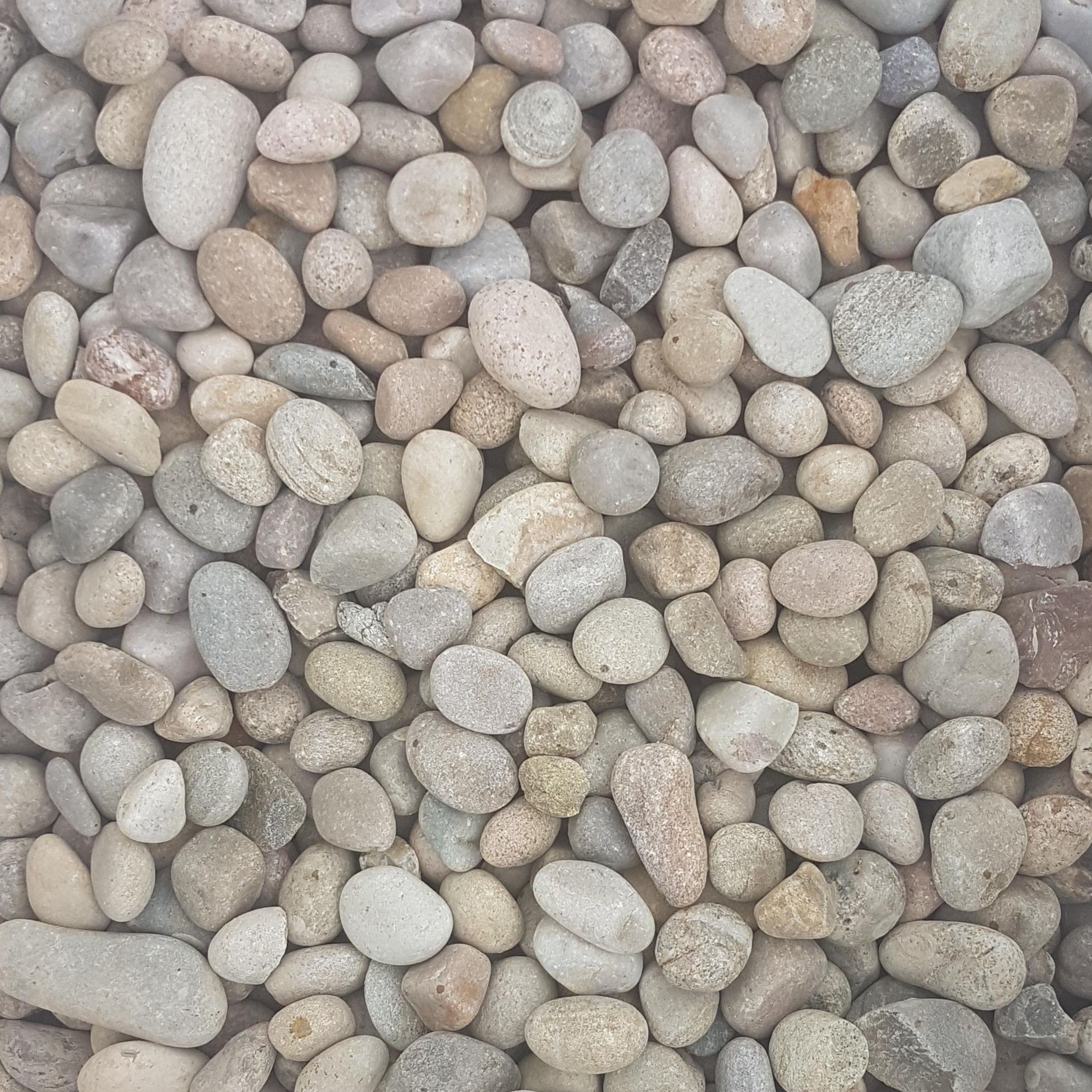 Pebbles (Media) Pebbles (Media)
